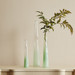 Primavera Set of 3 Vases, Caribbean Green