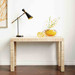 Parsons Large Console, Papyrus