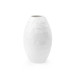 Apsis Vase, Blanc de Chine