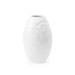 Apsis Vase, Blanc de Chine