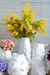 Saorise Large Vase, Blanc de Chine
