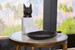Bastet Statue, Bronze