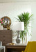 Ansonia Lamp with Shade 17-inch White Linen, with Nickel, Graphite Glow