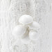 Branch Large Vase, Blanc de Chine
