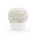 Boston Round Boxwood Topiary, Blanc de Chine