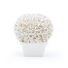 Boston Round Boxwood Topiary, Blanc de Chine