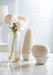 Boston Round Boxwood Topiary, Blanc de Chine