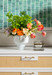 Barleto Box, Clear