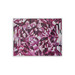 Asha Framed Canvas, Purple