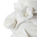 Vine Vase, Blanc de Chine
