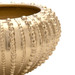 Diadema Bowl, Brass