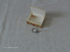 Camel bone box