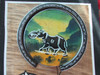 Close-up of the hand-painted wildlife designs and the etched accents on the 10 cm soapstone coasters from the Serengeti collection.