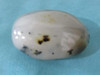 Exclusive Artisan Beautiful raw agate stone Fine Craftsmanship Detail