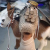 Hand Crafted Awesome Loaded Donkey Height | Premium Handcrafted Memento | High-end Gift - Luxury Handcrafted Art Craftihouse Dubai