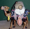 Al Buraimi Camel