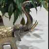 Luxury Artisan Hand engraved elephant Metal Premium Design Showcase