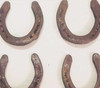 Luxury Vintage Original Horse Shoe Premium Design Showcase