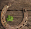 Vintage Original Horse Shoe | High-end Boutique Souvenir | Crafted In Dubai - Luxury Handcrafted Art Craftihouse Dubai