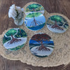 Premium Mangrove Tea Coaster Mangrove High-Quality Design View