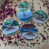 Exclusive Mangrove Tea Coaster Mangrove Heritage Collection Detail