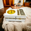 Bakhoor Storage Box & | Sophisticated Cultural Accent - Luxury Handcrafted Art Craftihouse Dubai