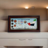 Premium Uae Coins Collection And Frame High-Quality Design