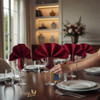 Elegant Red Fabric Dinner Napkin 47x47 cm for Hotels & Restaurants