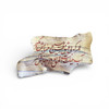 Calligraphy On Natural Leather “omar Ke Eshgh” Philosophical Love Verse Gallery & Collector Fine | Artisan Arabic Script Artwork | Sacred Home Accent - Luxury Handcrafted Art Craftihouse Dubai