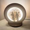 Full setting presentation of the direct electricity moon lovers desk lamp, serving as an upscale bedroom ambient light, commemorative anniversary token, or Valentine's Day centerpiece.