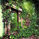Nature always reclaims it’s rights.