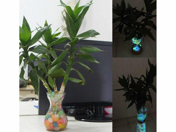 50pcs Glowing Artificial Pebbles High Quality Performance View