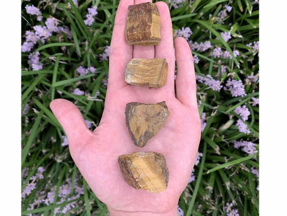 Exclusive 2 Pcs Tiger Eye Raw Crystals Fine Craftsmanship Detail