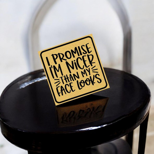 "i Promise I Am Nicer Than My Face Looks" Funny Aluminum - 8x8 Cm Kitchen Decor & Idea | Premium Han - Luxury Handcrafted Art Craftihouse Dubai
