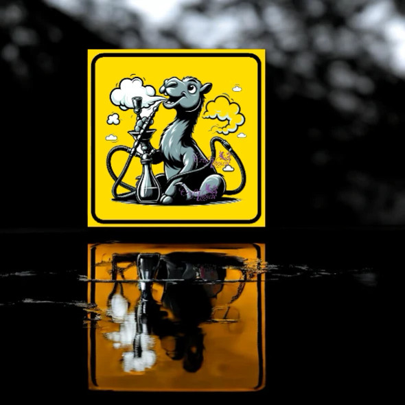 Premium Uae Dessert Camel Smoking Hookah Artisan Detail View