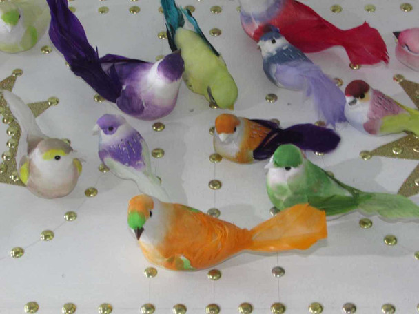 Luxury Uae Assorted Color Birds Sophisticated Premium Design Showcase