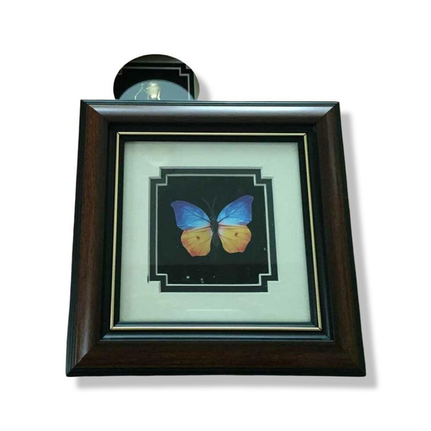 Luxury Colorful Butterfly With Wall Hanging Premium Design Showcase
