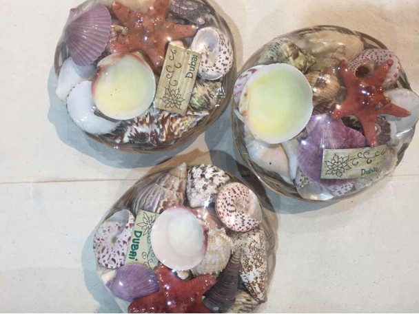 Luxury Mix Of Sea Shells Basket From Premium Design Showcase