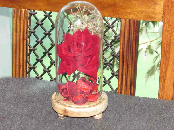 Luxury Uae Rose in Glass Case Premium Design Showcase