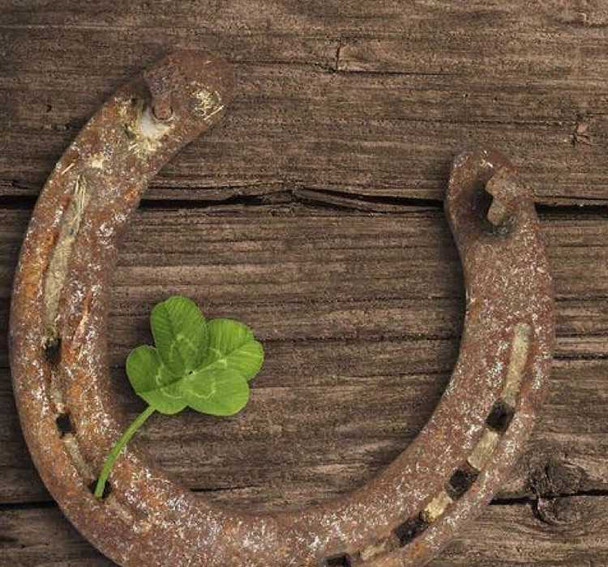 Exclusive Vintage Original Horse Shoe Fine Craftsmanship Detail