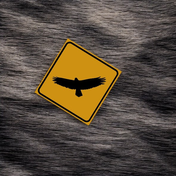 Flying Falcon 6x6 Sophisticated Cultural Piece | Luxury Heritage Decor & Unique Artisan Piece - Luxury Handcrafted Art Craftihouse Dubai