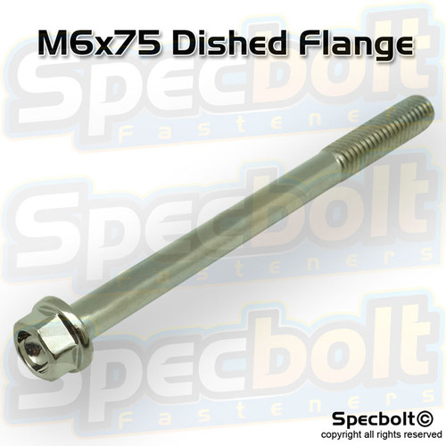 Dished Head Flange Bolt M6x70 (Nickel Würks)