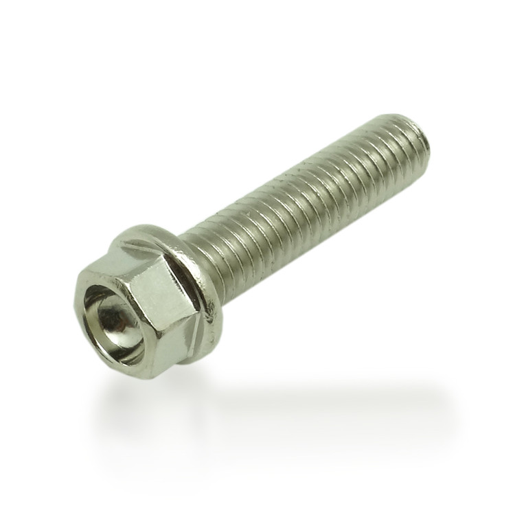 Dished Head Flange Bolt M6x25 (Nickel Würks)
