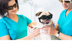 Laser Doggles