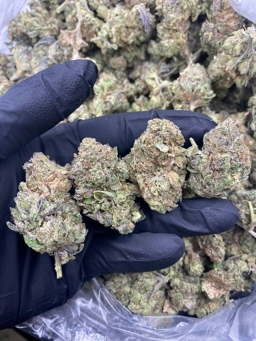 Grape Slurricane