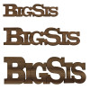 Logo Text - Big Sis