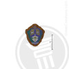 Alpha Kappa Lambda Small Raised Wooden Crest