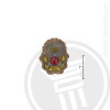Phi Sigma Kappa Small Raised Wooden Crest