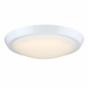 11" WHT Morrell Light