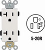 WHITE DUPLEX OUTLET